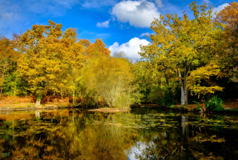 Cranbury Park Lower Pond