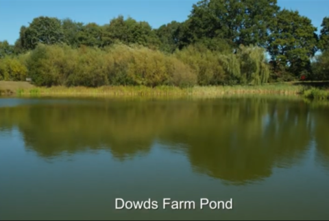 Dowds Farm