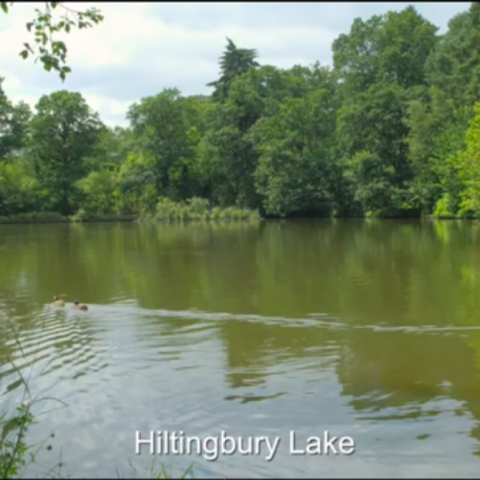 Hiltingbury Lake