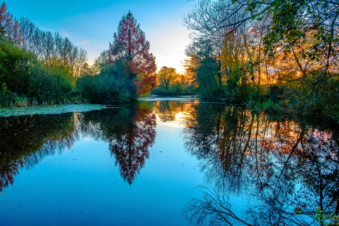 Winnall Moors