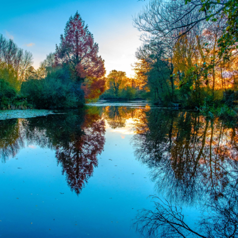 Winnall Moors