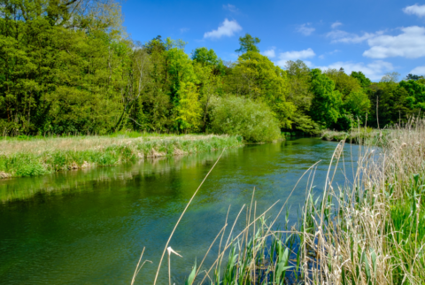 Upper Itchen Navigation