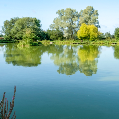 Witherington Farm