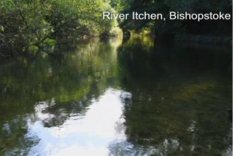 Lower Itchen Navigation