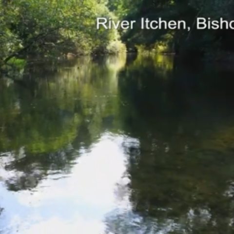 Lower Itchen Navigation