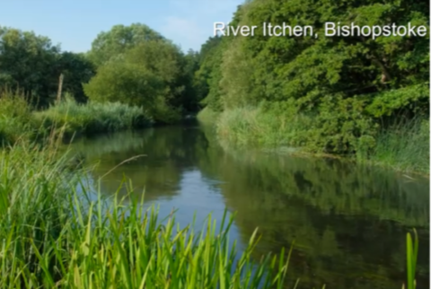 River Itchen Eastleigh