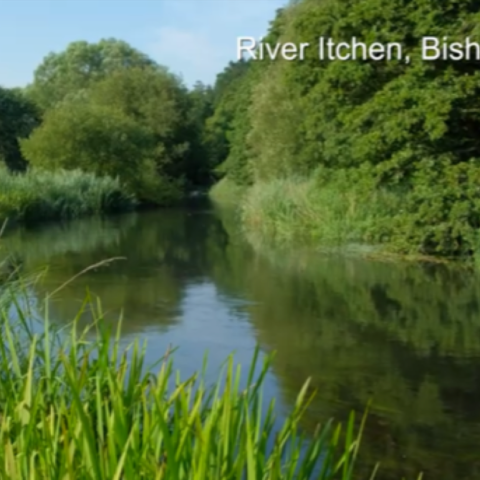 River Itchen Eastleigh