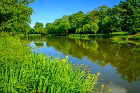 Stoneham Lake