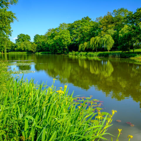 Stoneham Lake