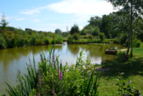 Hordle Lakes