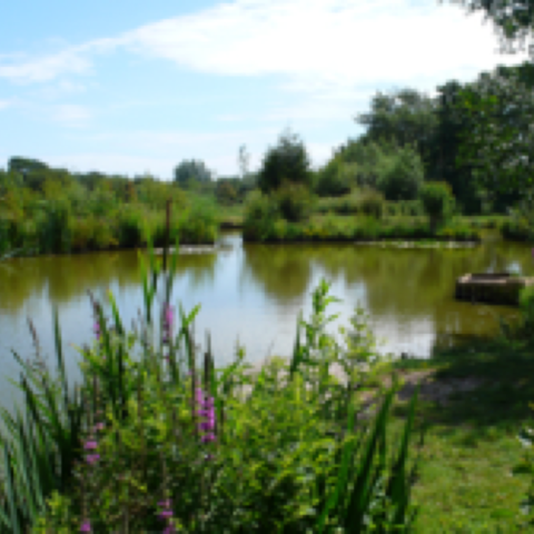 Hordle Lakes